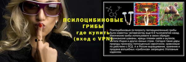 a pvp Алексин