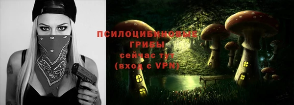 a pvp Алексин
