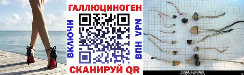 площадка телеграм  Осинники  Галлюциногенные грибы GOLDEN TEACHER 