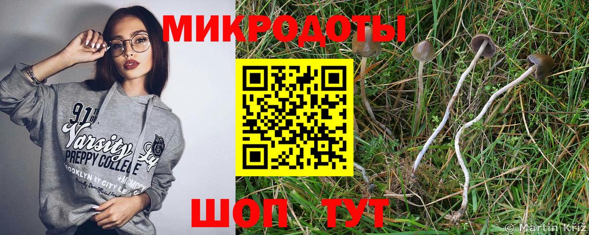 Галлюциногенные грибы прущие грибы Осинники